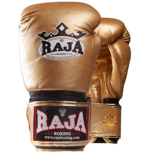 Raja Standard Two Tone Leather Boxing Gloves - FightstorePro