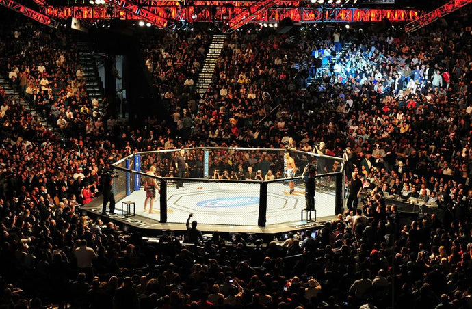 Covering an MMA event: A beginners guide to Journalism