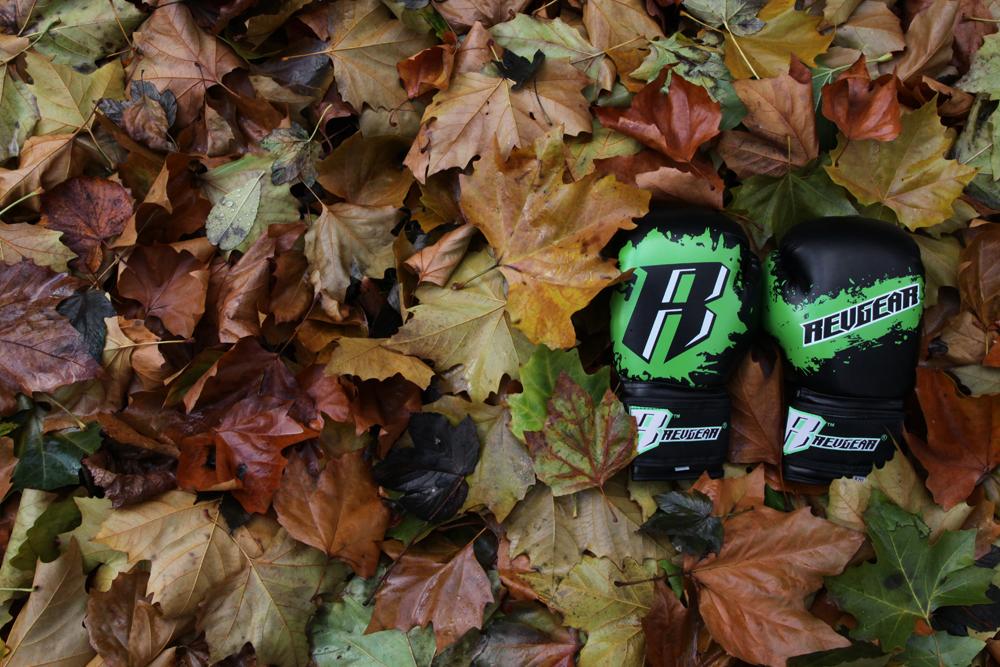 Kids MMA gear: A guide - FightstorePro