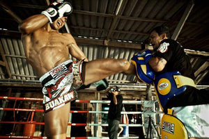 Thai Kick Pads..A Buyers Guide - FightstorePro
