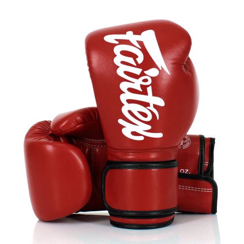 BGV14 Fairtex Microfiber Gloves - FightstorePro