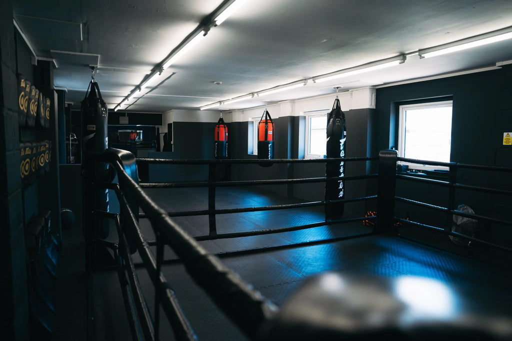 PRO FLOOR MOUNTED RING - FightstorePro