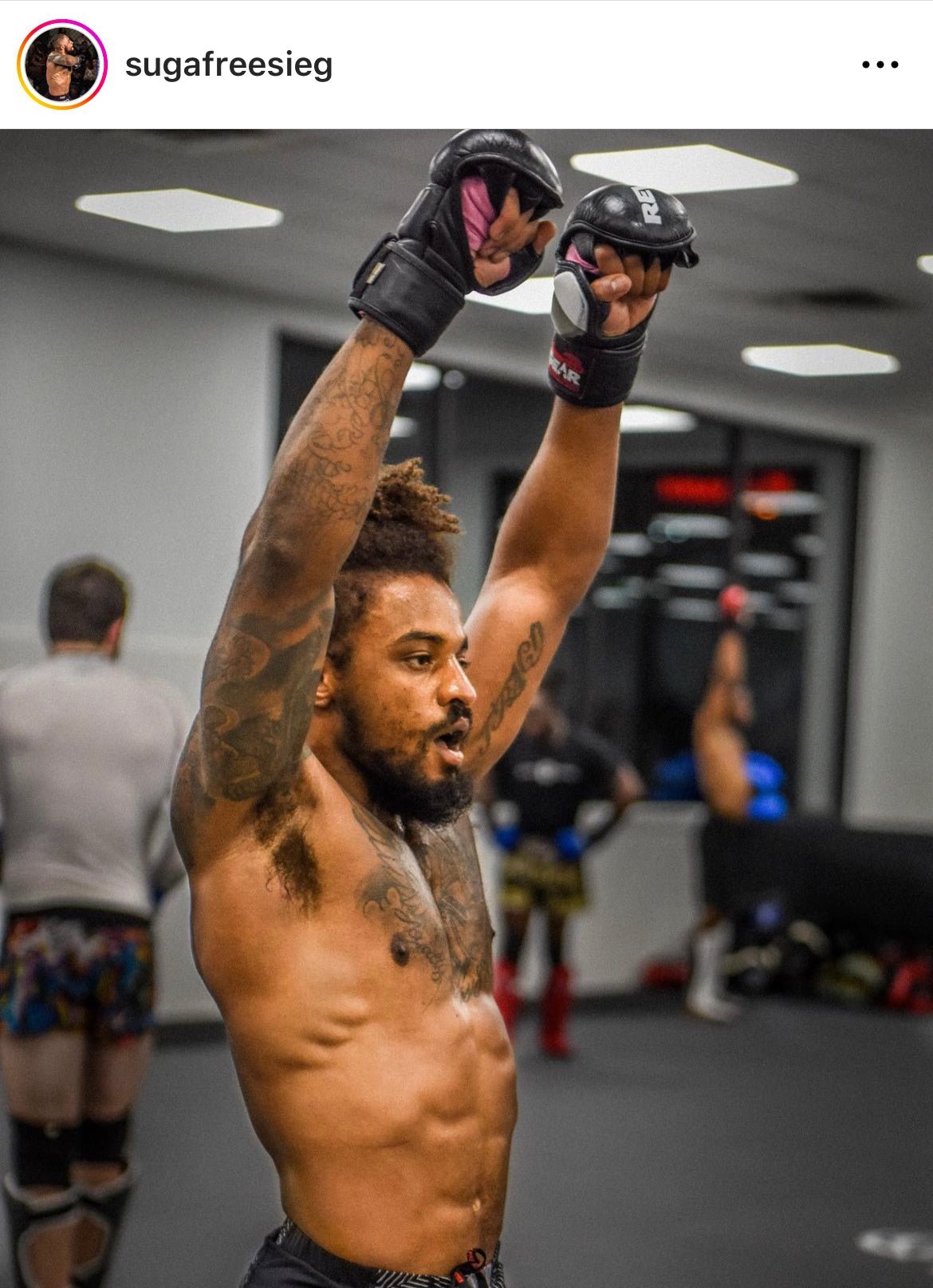 PRO SERIES MS1 MMA TRAINING AND SPARRING GLOVES - FightstorePro