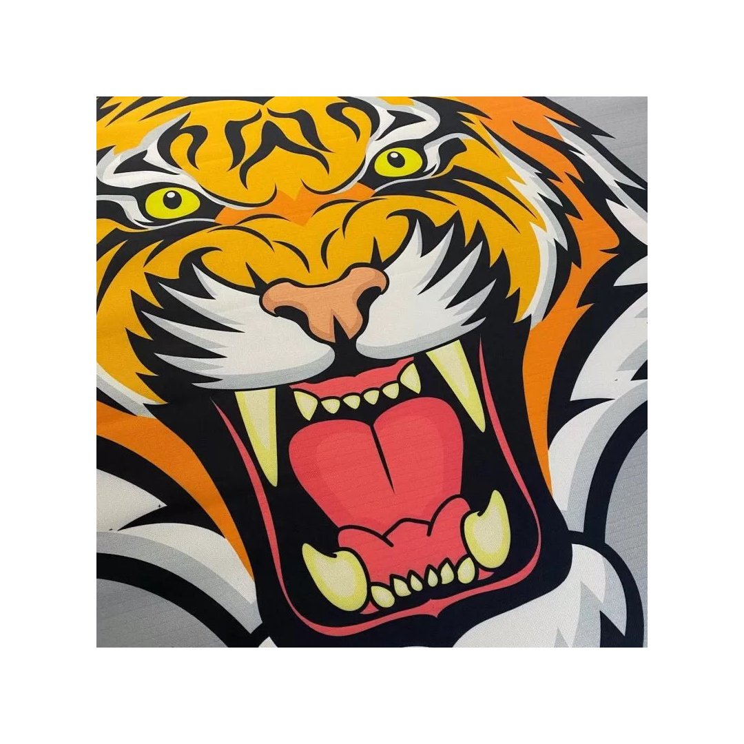 ProtecBoxing Custom Boxing Ring Canvas - FightstorePro