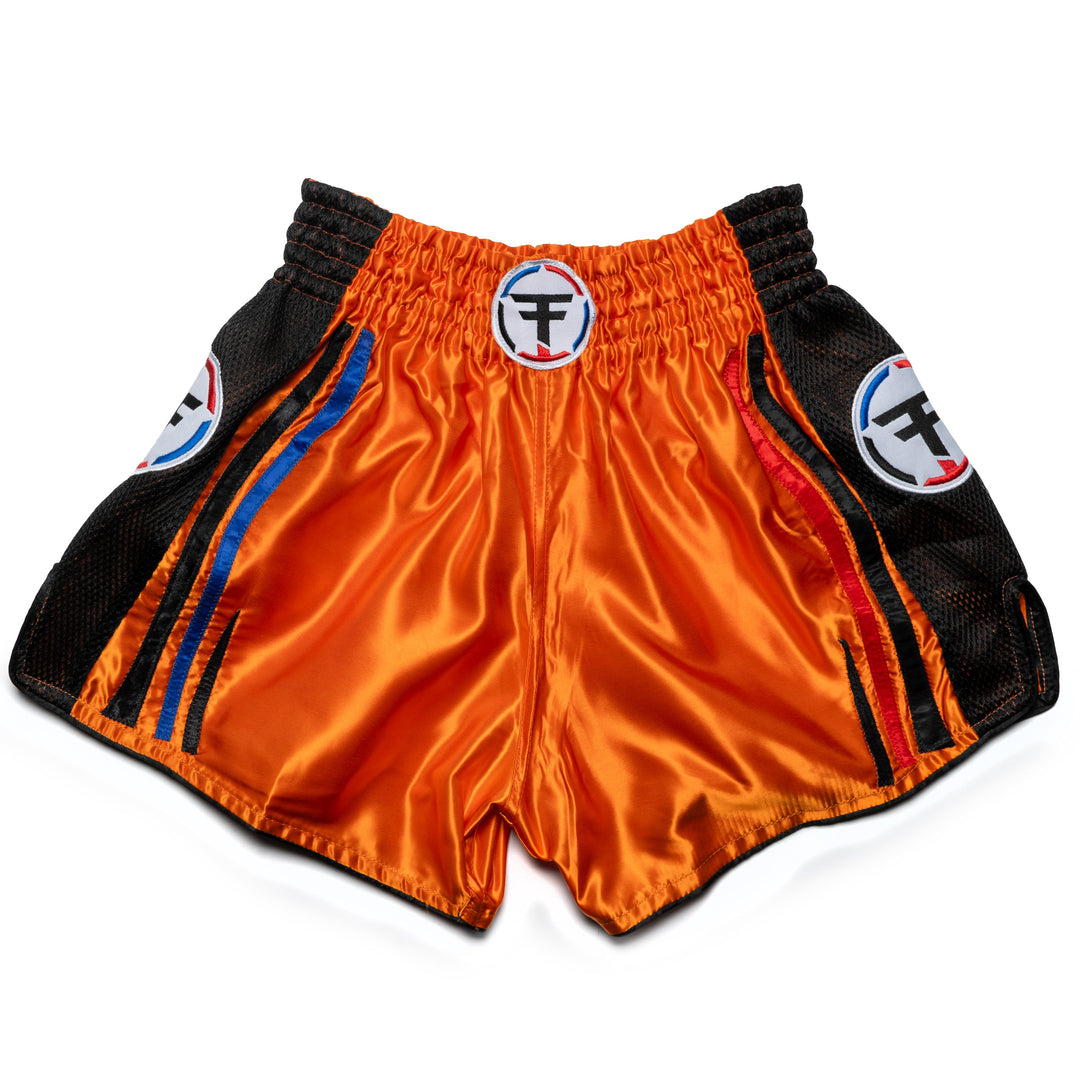 Thai Fighter One Shorts - FightstorePro