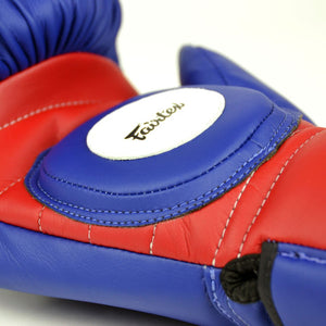 BGV13 Fairtex Coach Sparring Gloves - FightstorePro