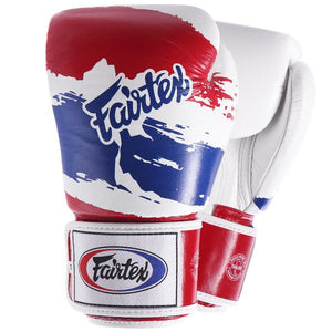 Fairtex Boxing Gloves - BGV1 Thai Pride - FightstorePro