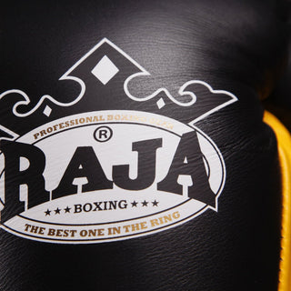 Raja Standard Two Tone Leather Boxing Gloves - FightstorePro